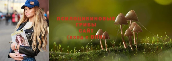 МДПВ Нягань