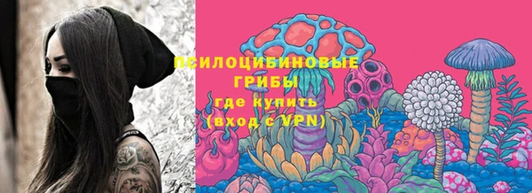 мдпв Нязепетровск