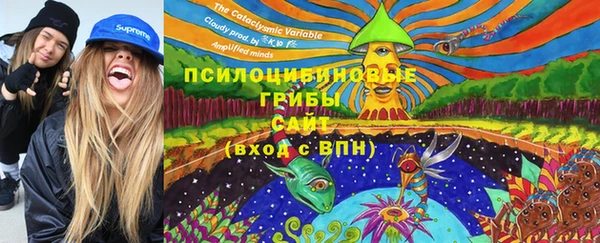 MDMA Няндома